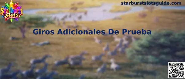 Giros Adicionales De Prueba